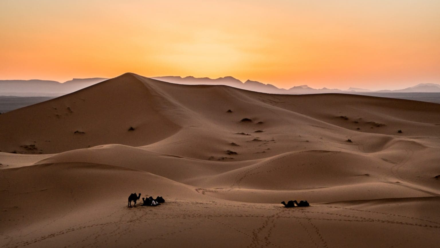 sunset from top of a dune