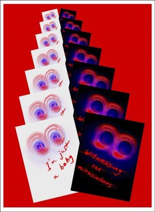 Witnessing the Miraculous